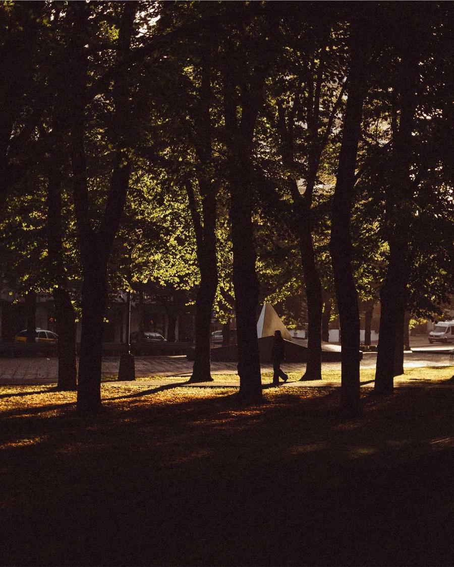 Silhouette marchant entre des arbres, lumière rasante d'automne
